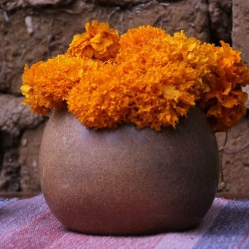 Pumpkin Cacoon Vase