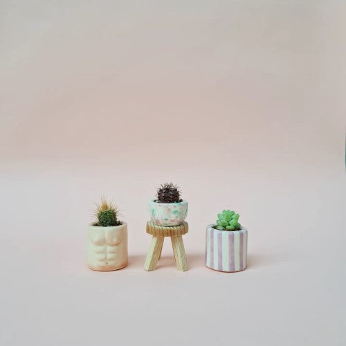 Love Set of 3 Mini Plant Pots IV