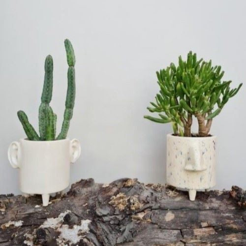 Nose Flower Pot - Image & Likeness Collection