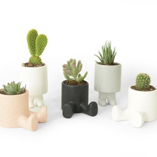 Ceramic Paradito and Sentadito Plant Pot Set