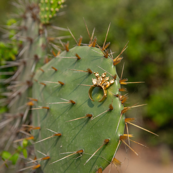 Cactus Parado Ring